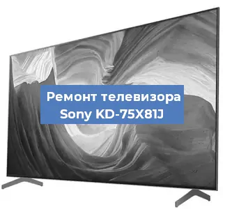 Замена динамиков на телевизоре Sony KD-75X81J в Красноярске
